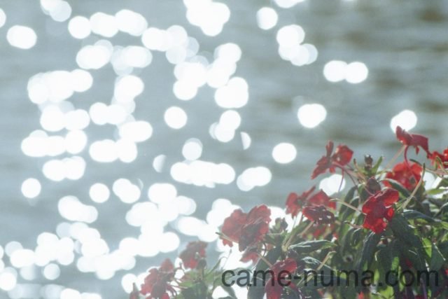 fd200mm_f4_ssc_9-640x427.jpg