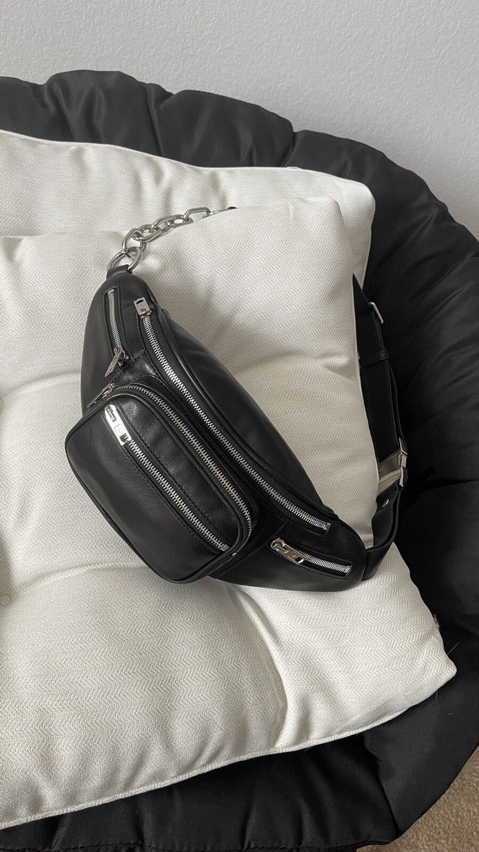 Alexander Wang Attica bag | eBay