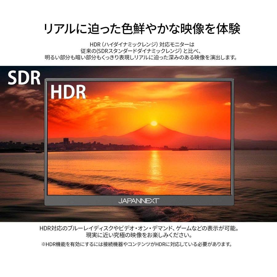 JAPANNEXT（ジャパンネクスト） JAPANNEXT 10.5インチ IPSパネル フル