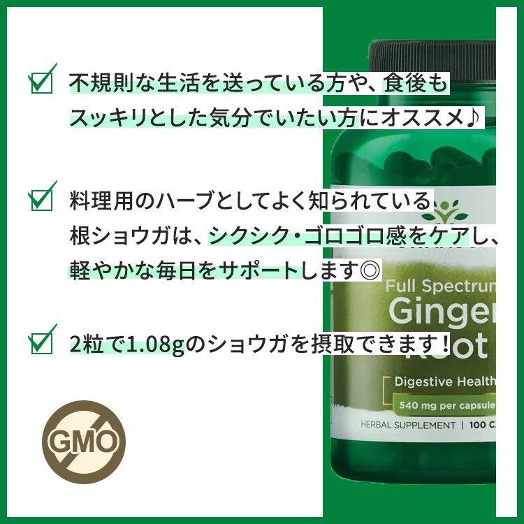 スワンソン フルスペクトラム ジンジャー ルート 540mg サプリメント