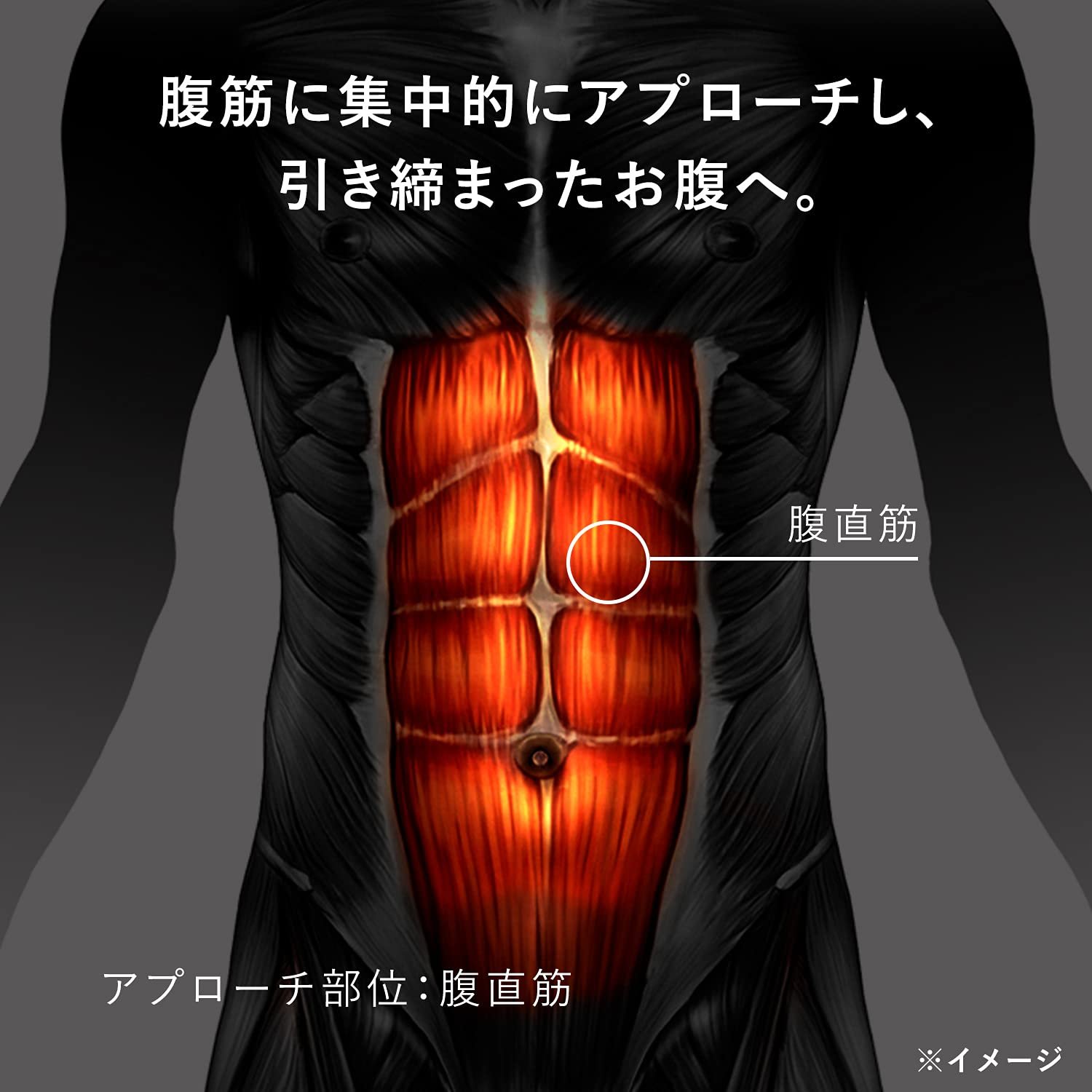 Amazon.co.jp: SIXPAD シックスパッド パワースーツ アブズ(Powersuit