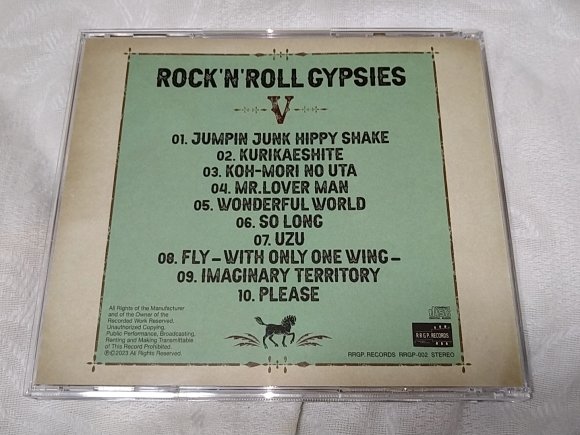 ROCK'N'ROLL GYPSIES / Ⅴ : 無駄遣いな日々