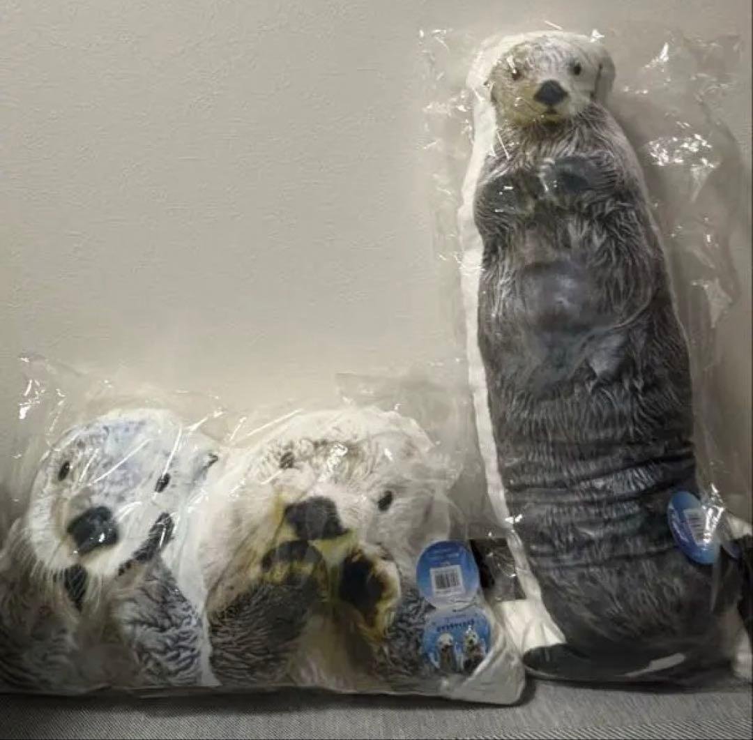 鳥羽水族館　クッション　メイキラ Amazon.co.jp: 鳥羽水族館限定品 ラッコ メイキラ クッション